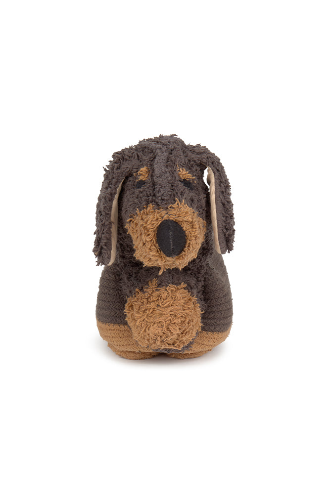 CESTA SPARKY