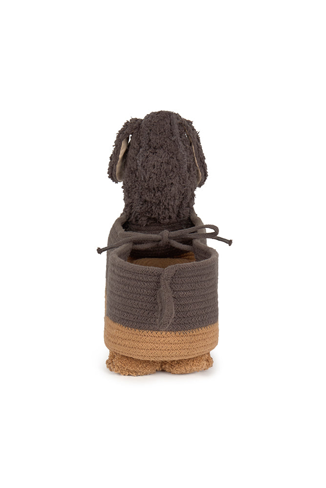 CESTA SPARKY