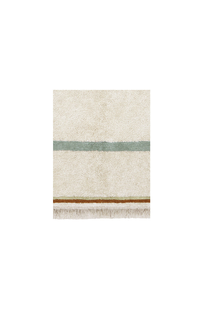 MUESTRARIO HANGER COTTON - COTTON BASICS