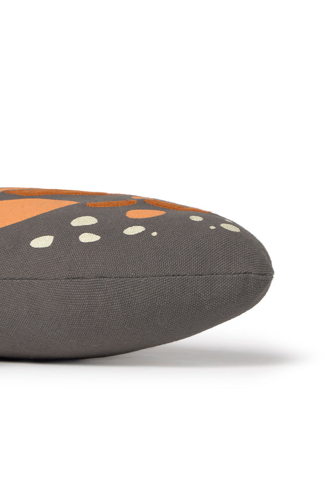 COUSSIN BUTTERFLY