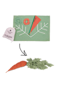DIY CATHY THE CARROT