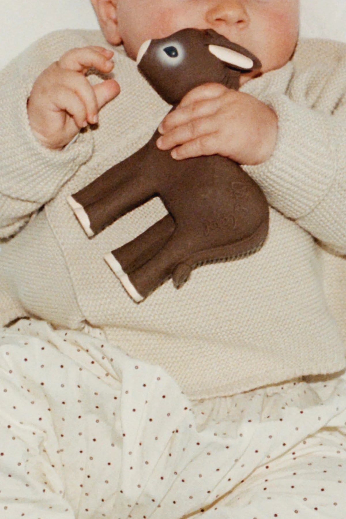 BEISSRING HECTOR THE DONKEY