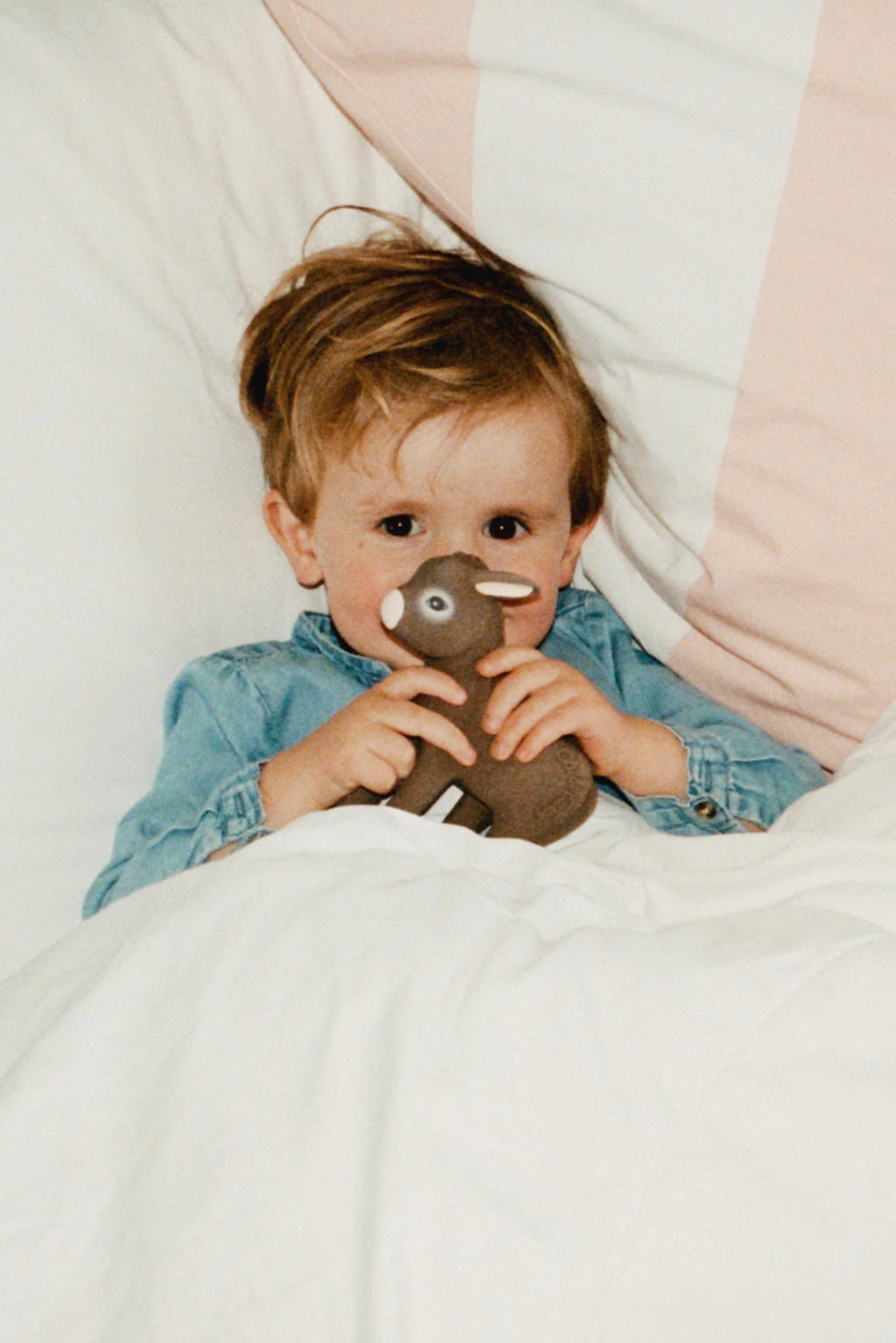 BEISSRING HECTOR THE DONKEY