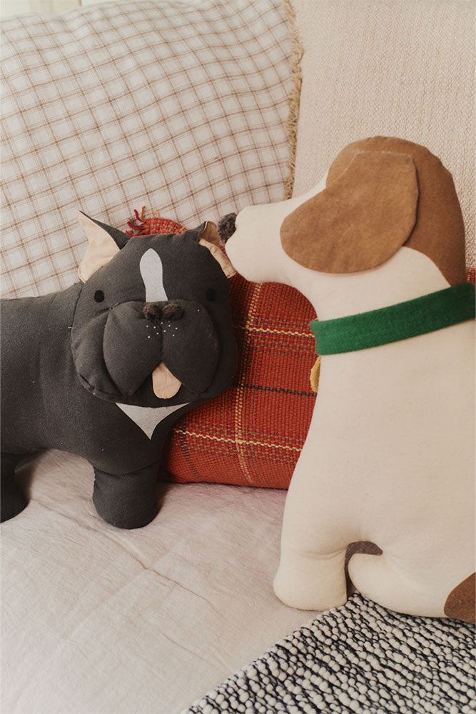 COUSSIN JIMMY