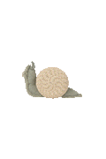 CESTINO MINI SNAIL