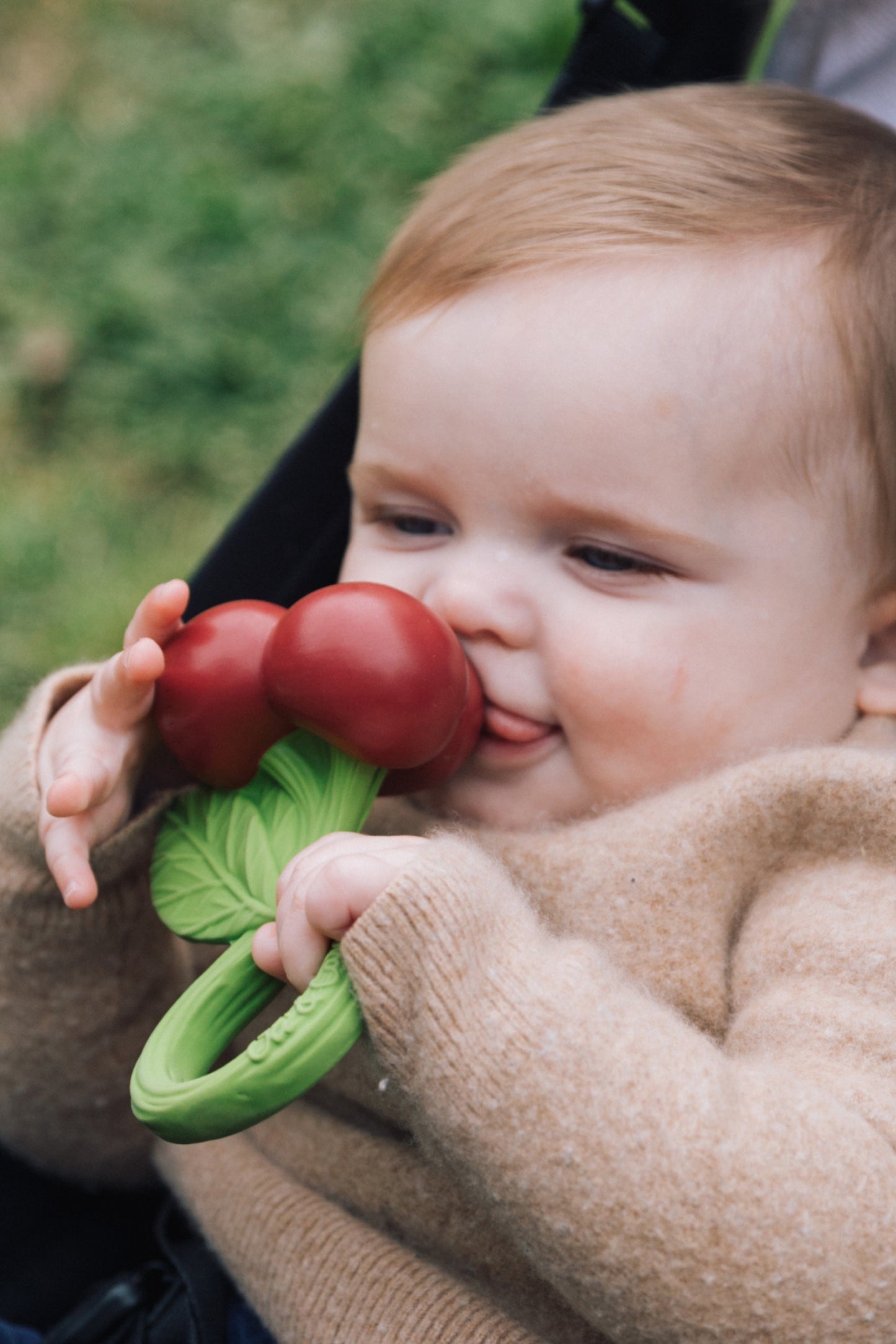 THE MUSHROOM NEWBORN SET - HOLIDAY EDITION