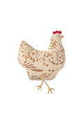 KISSEN CHICKEN