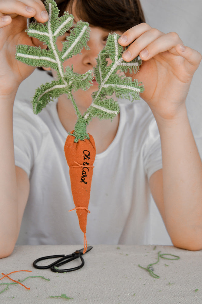 DIY CATHY THE CARROT Lorena Canals