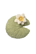 BODENKISSEN WATER LILY