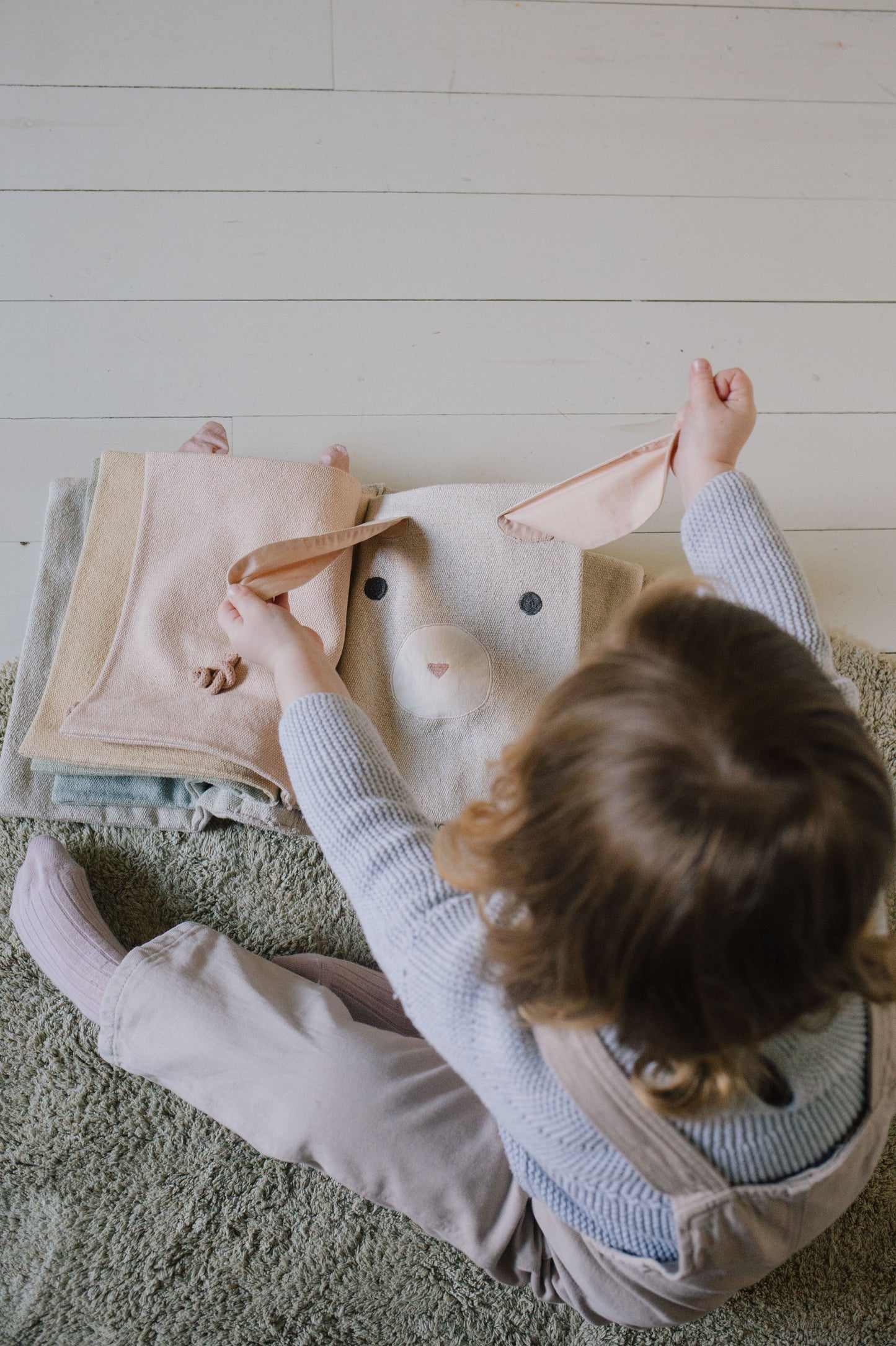 Libro sensorial Animals