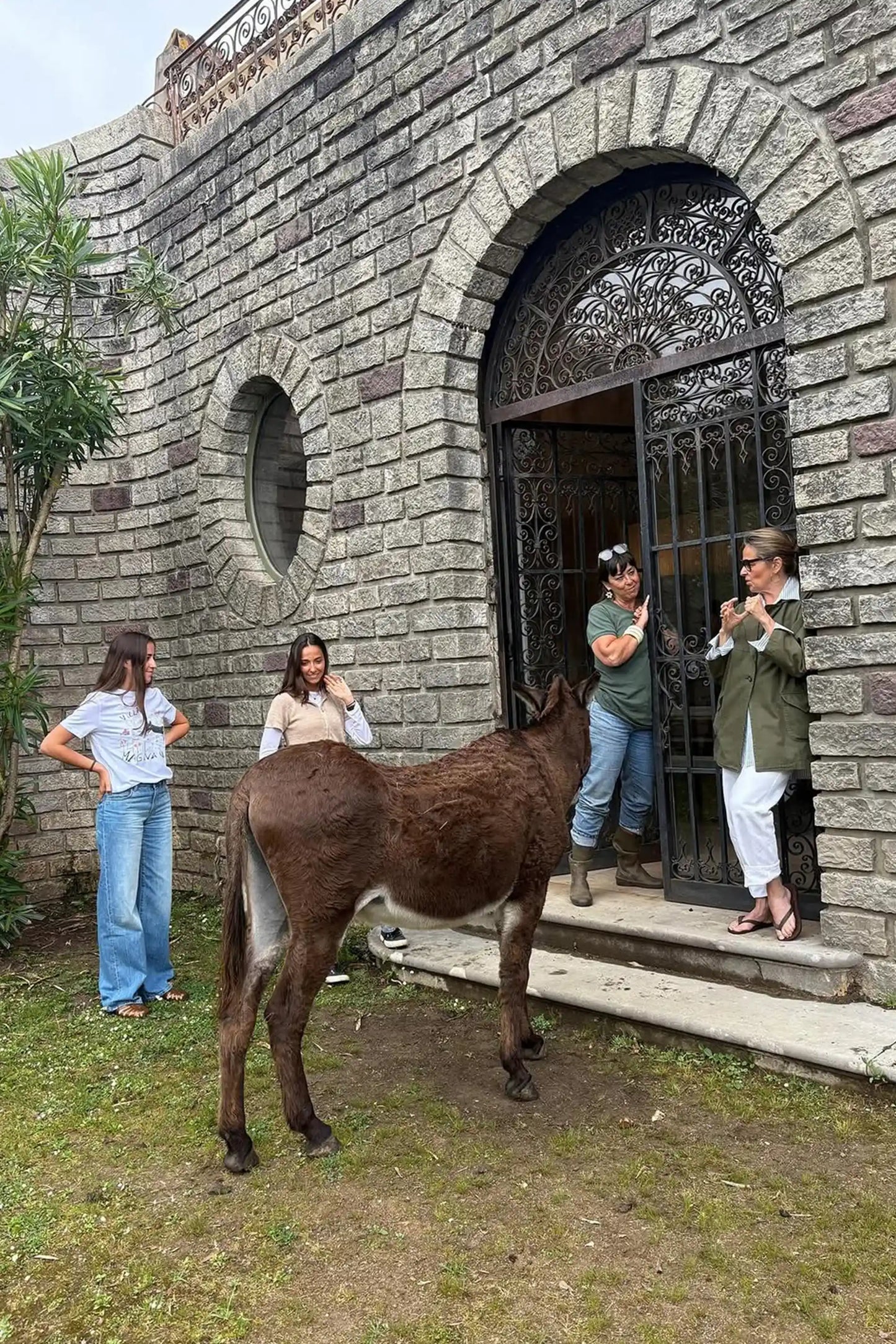 HECTOR THE DONKEY RUG