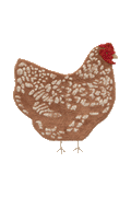 TAPPETO LAVABILE CHICKEN