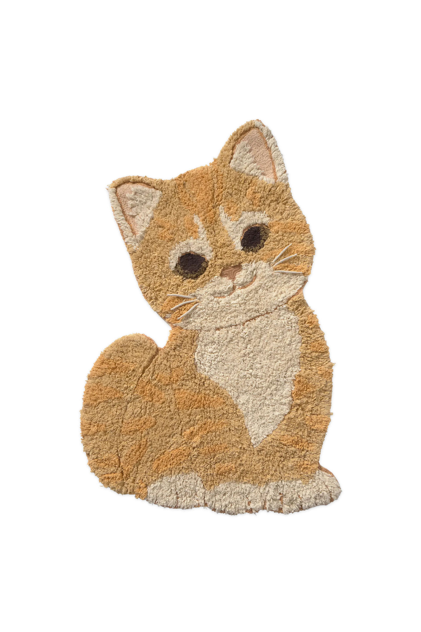 WASHABLE RUG GINGER THE CAT